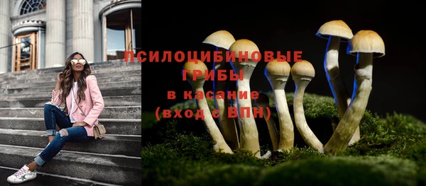 ешки Магадан