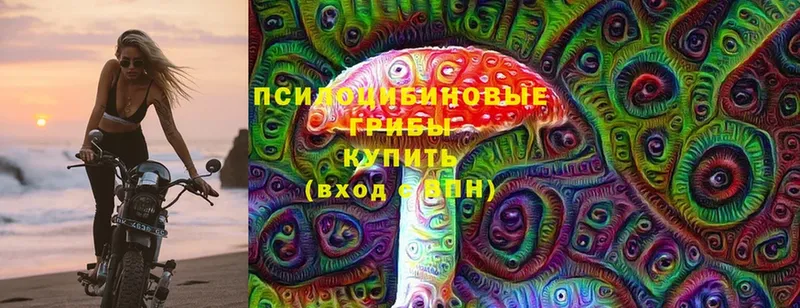 Галлюциногенные грибы Cubensis  Кудымкар 