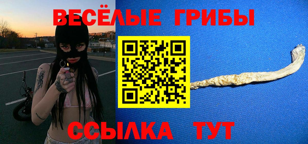 Кудымкар  Псилоцибиновые грибы MAGIC MUSHROOMS  Вход с VPN 